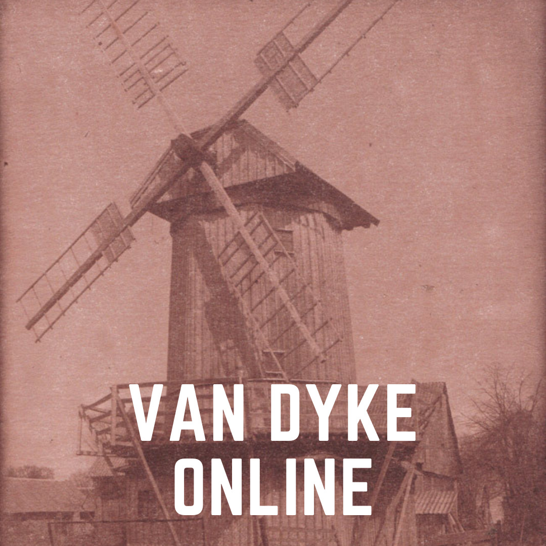 Brąz Van Dyke - online workshop