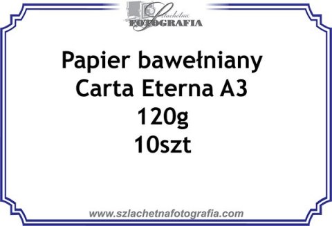 Carta eterna cotton paper 120g A3