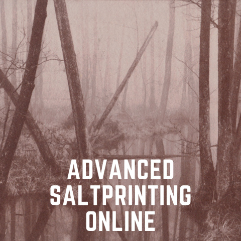 Advanced saltprinting online